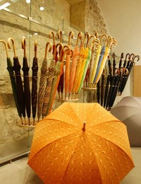 Kirchtag-Regenschirme-Koffer-Lederwaren